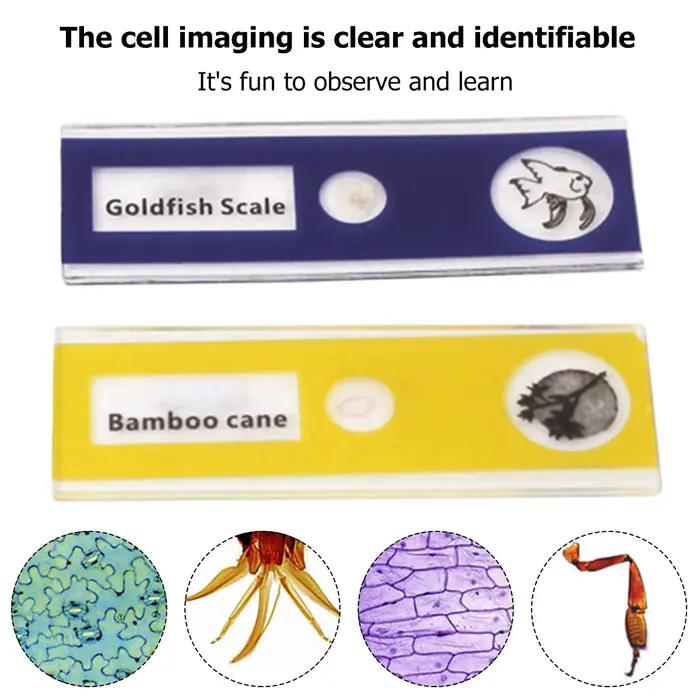 Microscope de poche pour enfants, Kit de jouets scientifiques 60-120x, Mini Microscope portatif éduc