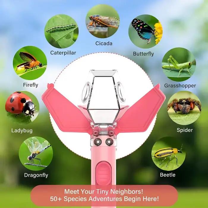 Attrape-insectes et microscope d'observation écologique 6X