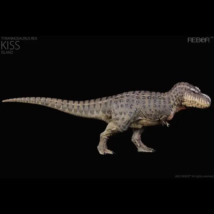 Rebor 1/35 Tyrannosaure Rex « KISS » Île Ver. Figurines de dinosaures t-rex, modèle Animal, déco de bureau