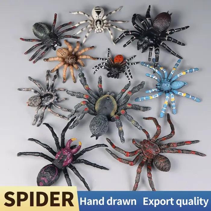 Jouets éducatifs d'araignée et d'insectes