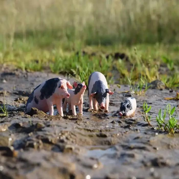 Toymany Simulation maman Pietrain cochon ferme modèle Animal jouet Mini Figurines poupées Action Figurines jouets enfants cadeau