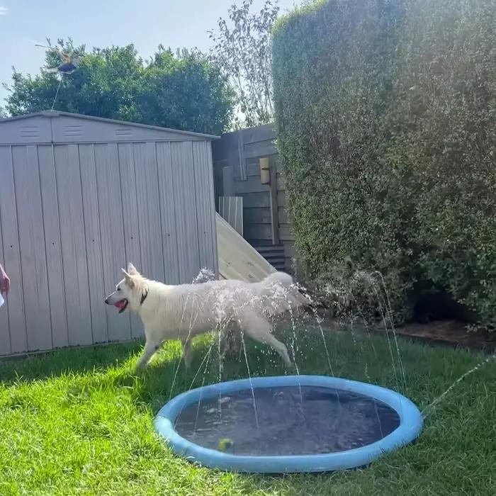 Piscine Portable avec tampon anti-éclaboussures pour chiens, avec fontaine d'arrosage, bain et refroidissement pour animaux de compagnie en plein air, pulvérisation d'eau et refroidissement par glace