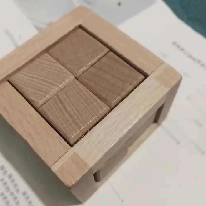 Jouets éducatifs de démêlage Puzzle imbriqué Cube casse-tête en bois pour adultes et enfants jeux de Test de QI cadeaux créatifs occasions spéciales