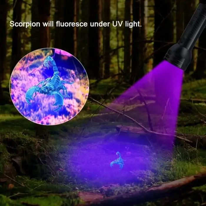 Lampe de poche UV portable 12/21/51 LED, lumière noire, torche ultraviolette 395 NM, détecteur de lumière noire pour les taches d'urine de chien et les insectes au lit