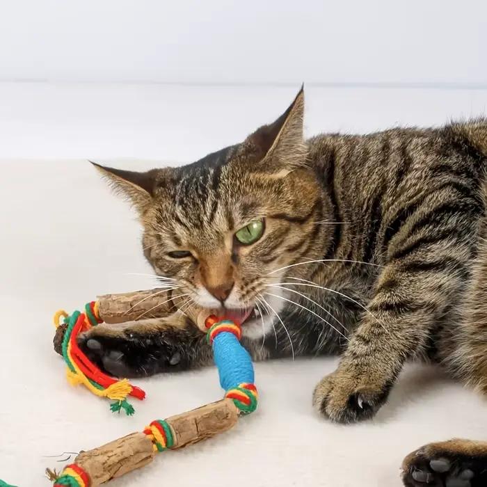 Jouet 2 pièces qui attire les chats à jouer-un
