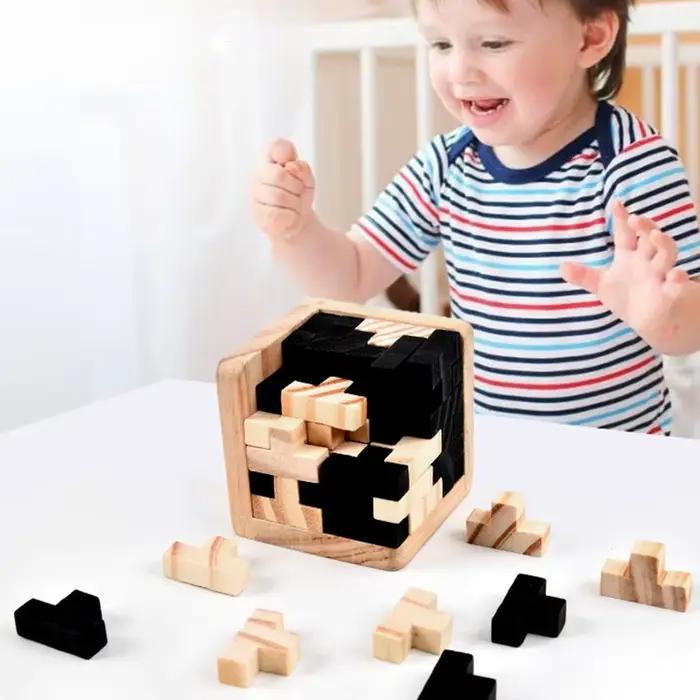 Puzzle Cube 3D Luban imbriqué