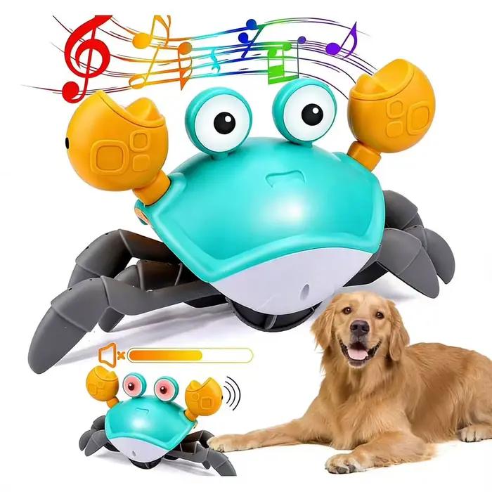 Jouet de bébé crabe rampant
