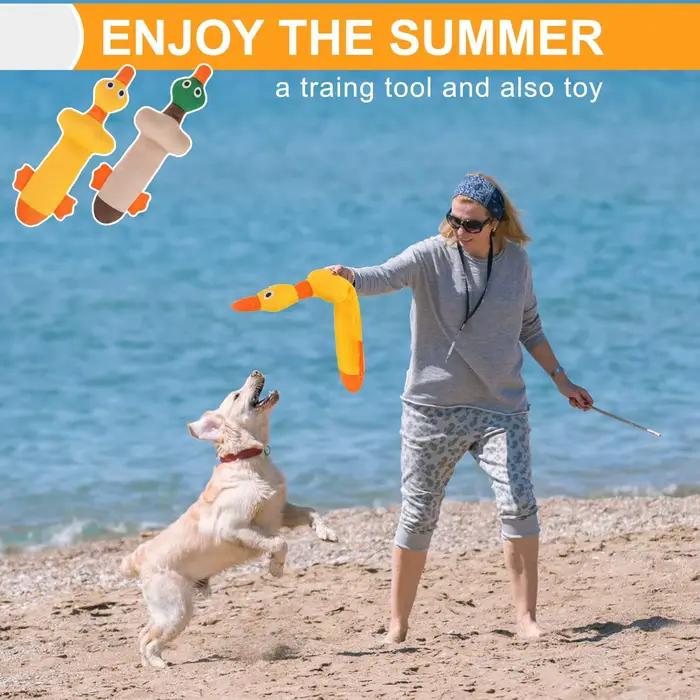 Jouets de piscine d'eau flottants pour chiens, 2 paquets, adaptés aux chiens de taille moyenne/grande, jouets de piscine conçus par le canard Zizi, jouets d'été pour chiens