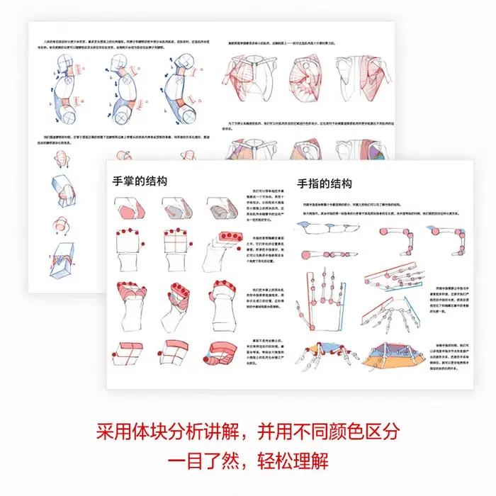 Anatomie humaine pour artistes, principes de structure du corps humain et livre d'enseignement de la peinture, livre de collection d'art pour copier les figurines de jeux d'anime