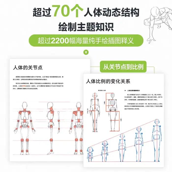 Anatomie humaine pour artistes, principes de structure du corps humain et livre d'enseignement de la peinture, livre de collection d'art pour copier les figurines de jeux d'anime