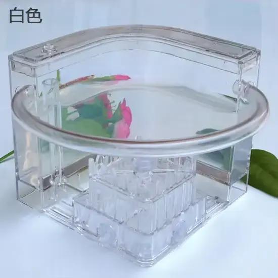 Atelier de fourmis montagnes russes écologie nid de sable immobilier château de fourmi maison ferme jouet pour animaux