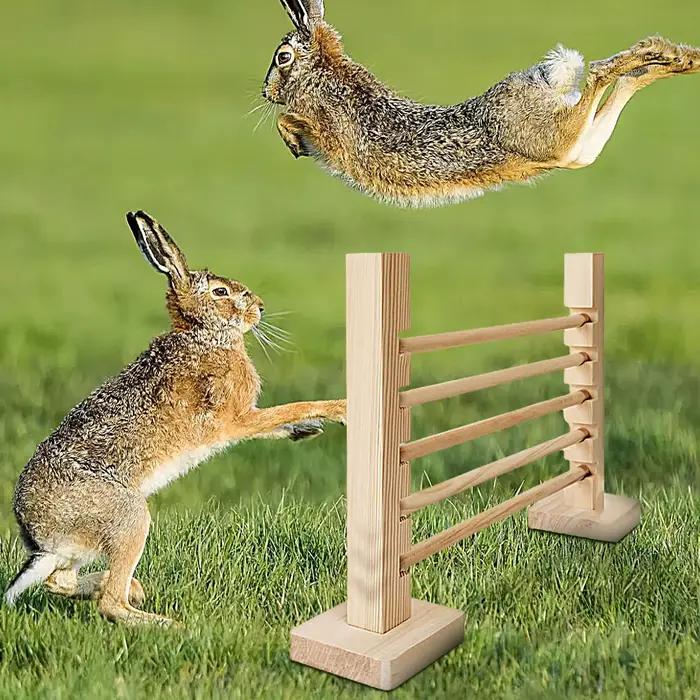 Barre de saut en bois pour lapin, obstacle d'entraînement réglable en hauteur, jouet pour petits animaux, jeux d'entraînement pour habitat animalier