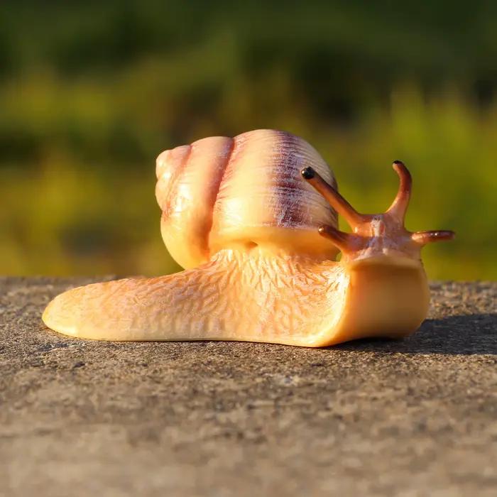 Jouet réaliste de figurine d'escargot-modèle animal à collectionner