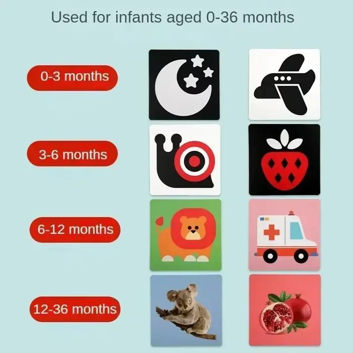 Livre pour bébé de 0 à 36 mois