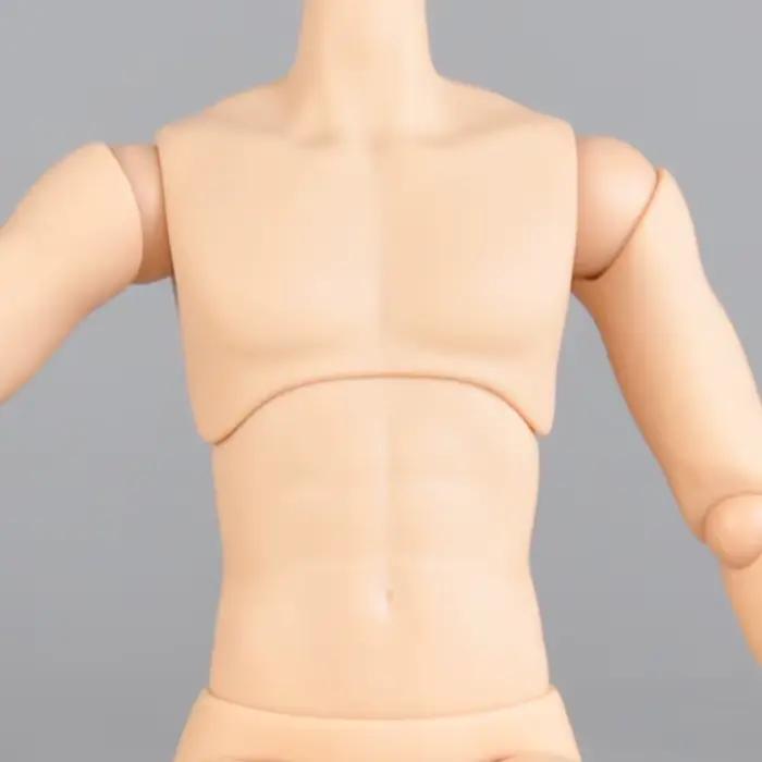 Corps de poupée masculine 1/7 Bjd