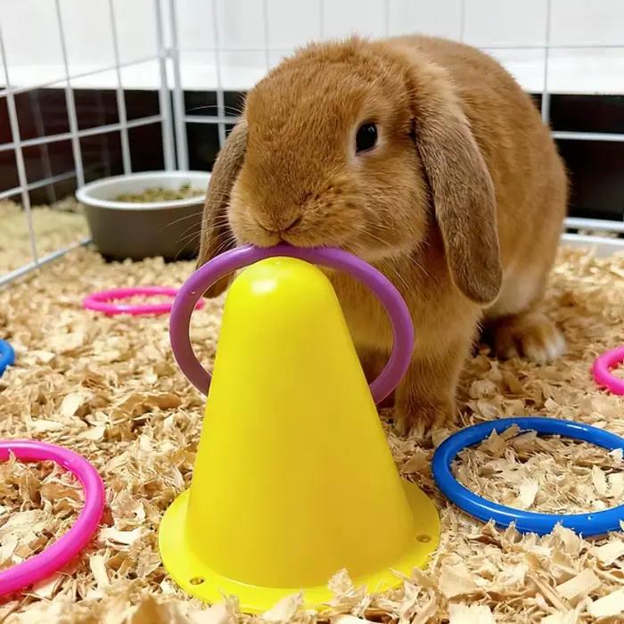 Jouet interactif pour lapin de 7 cm