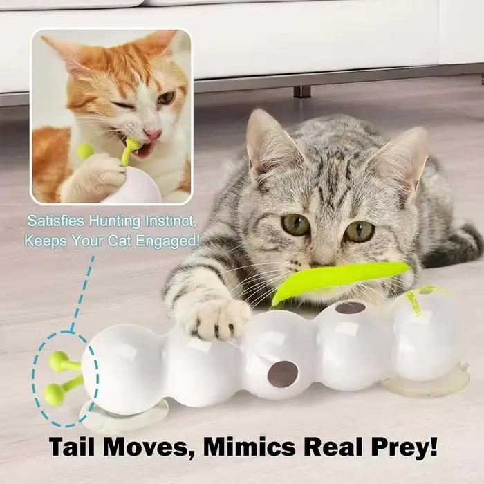 Jouet Interactif Caterpillar Pour Chats Blanc Rechargeable Encourageant L'Activité Physique Et Améliorant Les Liens Entre Humains Et Animaux Occasions Spéciales