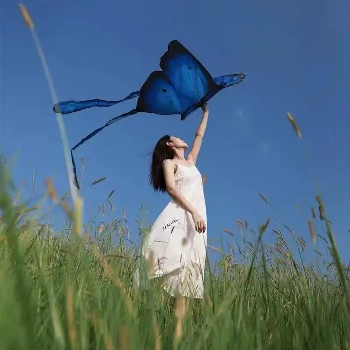 Cerf-volant papillon pour adultes
