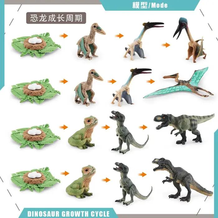 Modèle de dinosaure du cycle de vie