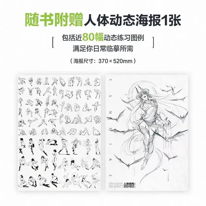 Anatomie humaine pour artistes, principes de structure du corps humain et livre d'enseignement de la peinture, livre de collection d'art pour copier les figurines de jeux d'anime