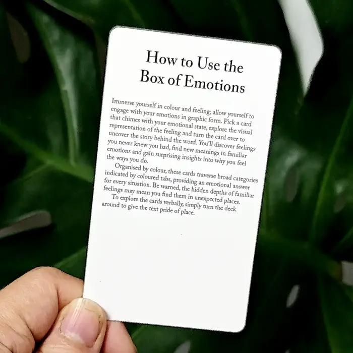 10, 3*6 cm La boîte des émotions - 80 cartes pour rendre le sens des vos sentiments