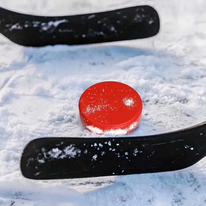 Rondelles en mousse de Hockey sur glace