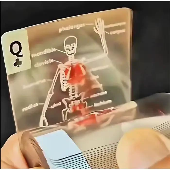 Cartes à jouer de pont corporel, cartes à jouer d'anatomie humaine intéressantes, jeu de cartes, fête de divertissement
