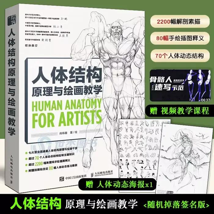 Livre d'enseignement d'anatomie humaine pour artistes, livre d'enseignement de la Structure du corps humain et de la peinture
