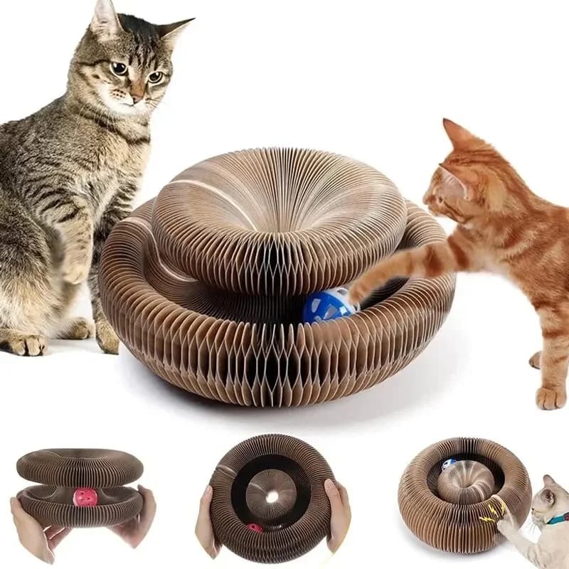 Planche d'orgue à gratter magique pour chat, jouet avec boule, griffe de broyage, cadre d'escalade p