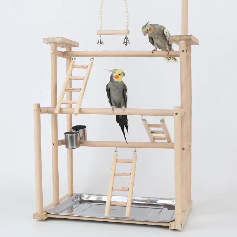Structure de jeu pour perroquets avec balançoire, échelle d'escalade, jouets interactifs pour oiseau