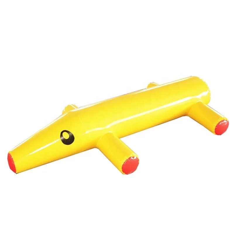 Jouet d'eau gonflable, jeu gonflable flottant d'eau