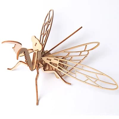 Puzzles 3D pour enfants, assemblage en bois, voiture, avion, modèle animal, jouet pour adultes, joue