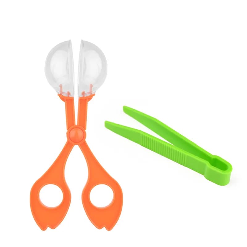 Kit de jouets d'exploration de la nature pour enfants, outil d'étude des plantes et des insectes, pi