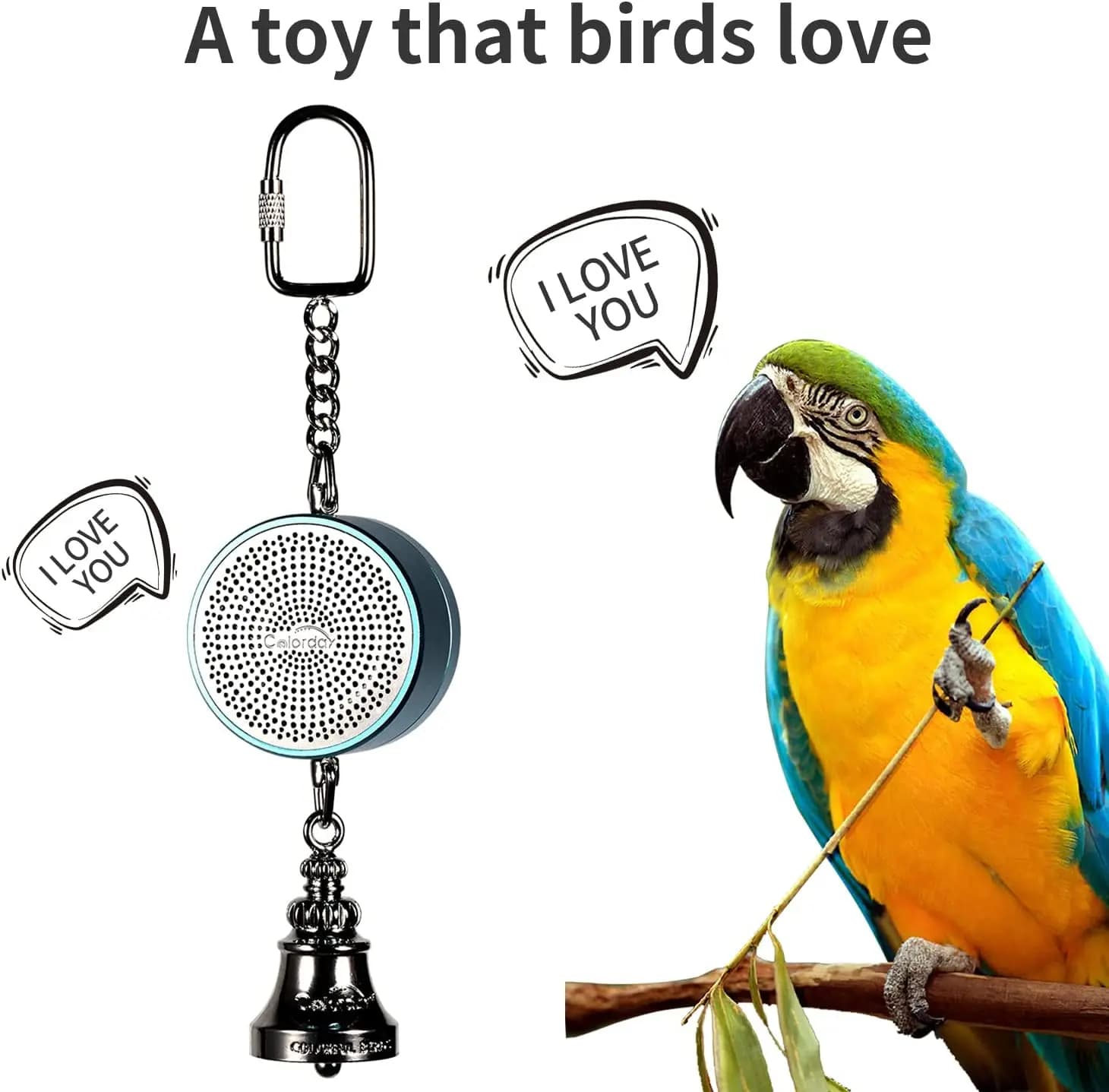 Jouets de perroquet pour fuchsia, oiseau d'entraînement, roi prudent, avantages, lecture statique in
