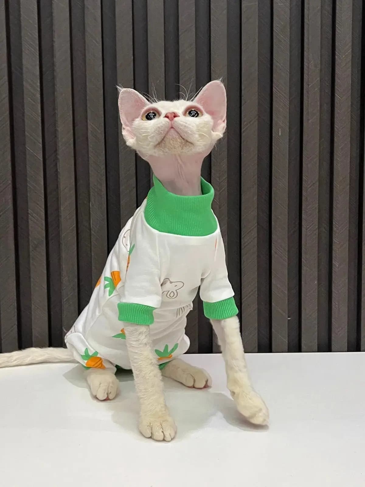 Vêtements à quatre pattes de dessin animé, carottes, imprimés de lapin, vêtements pour chats sans po
