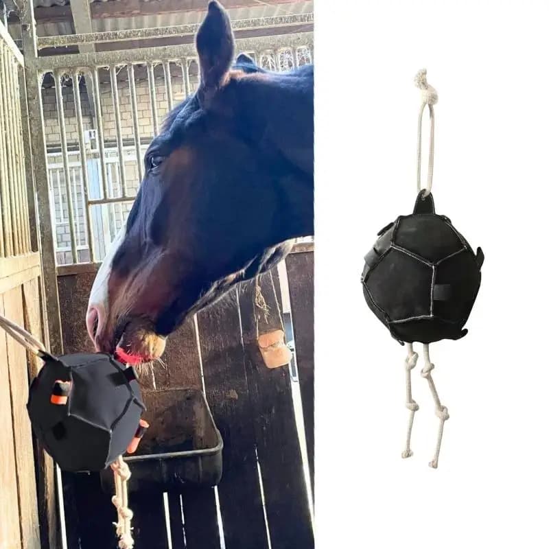 Jouet d'enrichissement pour l'entraînement des chevaux : boule à foin résistante à la mastication po