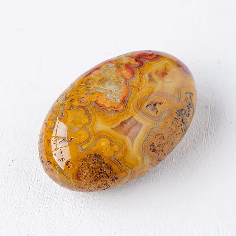 Pierre de palmier d'agate folle naturelle, pierre précieuse ovale polie, pierre de palmier de poche,