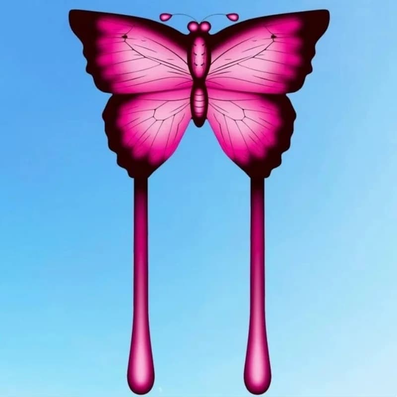 Cerf-volant papillon pour adultes, cerfs-volants de grande taille, jouets volants, cerfs-volants ois
