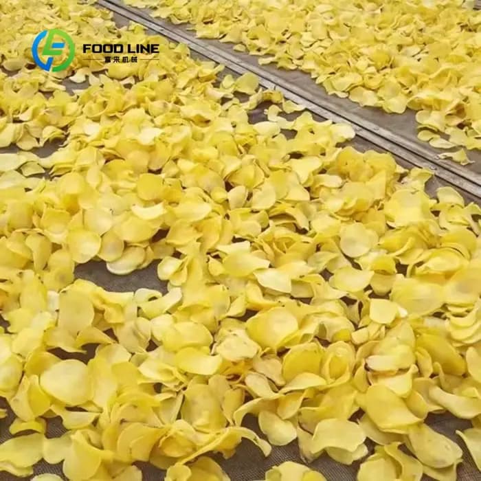 Ligne de production de chips de pommes de terre clé en main personnalisée avec support d'installatio