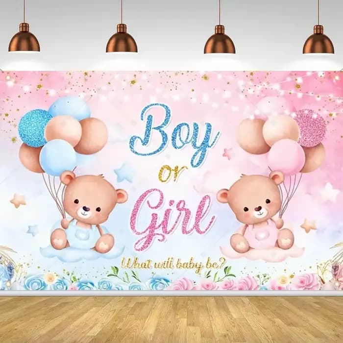 Décorations de fête pour révélation du sexe, ballon ours nuage, thème de révélation du garçon ou de