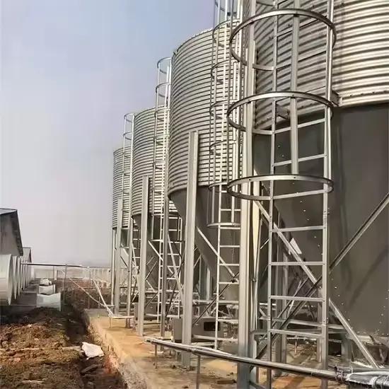 Poubelle automatique en acier galvanisé, nouvel état, système d'équipement pour volaille, ferme, sto