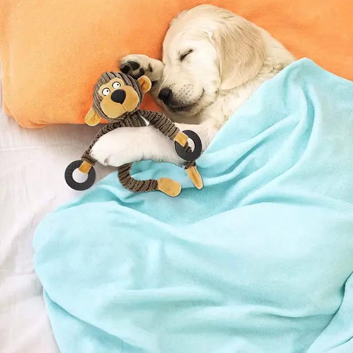 Jouets pour chiots grinçants, jouets à mâcher en peluche pour la formation à la dentition, jouets pour petits chiens, jouets interactifs pour singe mignon