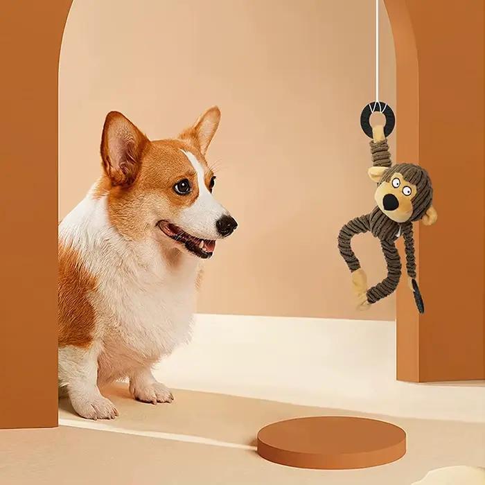Jouets pour chiots grinçants, jouets à mâcher en peluche pour la formation à la dentition, jouets pour petits chiens, jouets interactifs pour singe mignon