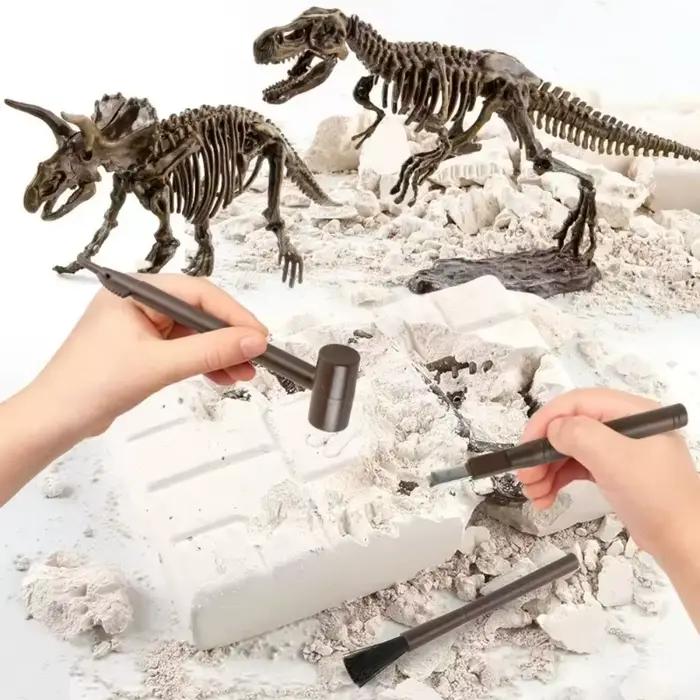 Kits d'excavation de fossiles de dinosaures