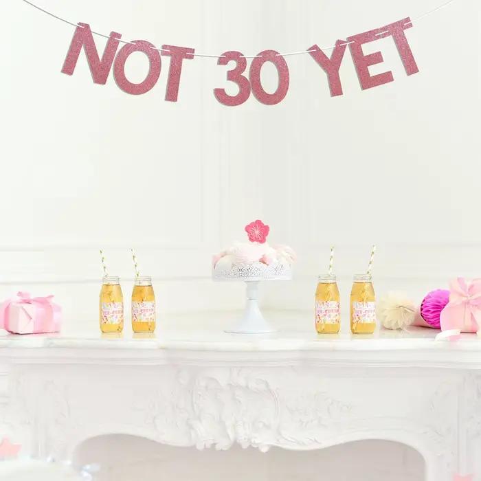 Bannière pas 30 mais – Dernier année dans mes années 20, Twenty Fucking Nine, joie à 29 ans, décorations amusantes pour fête de 29e anniversaire, or rose