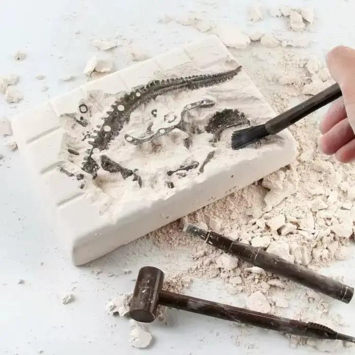 Kits d'excavation de fossiles de dinosaures
