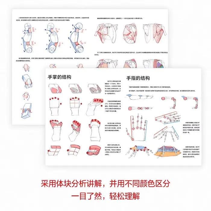 Livre d'enseignement d'anatomie humaine pour artistes, livre d'enseignement de la Structure du corps humain et de la peinture
