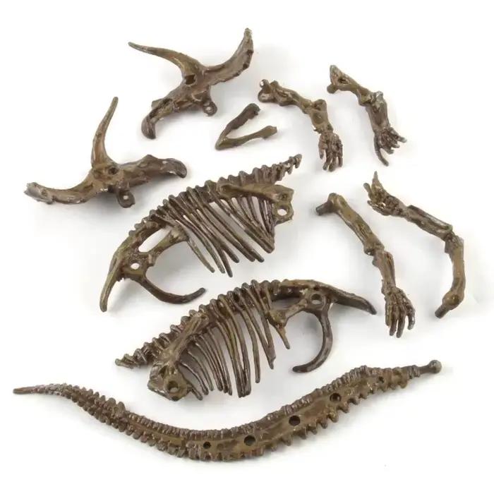 Kits d'excavation de fossiles de dinosaures