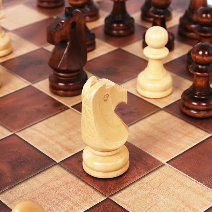 Jeu de dames de Backgammon magnétique d'échecs