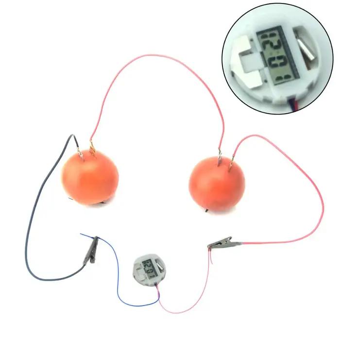 Kit d'expérimentation scientifique à batterie de fruits avec horloge électronique et LED RVB pour jouet d'enseignement